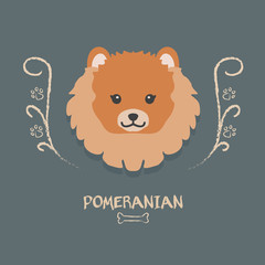 Funny  pomeranian vector illustration. Cute cartoon  portrait of a dog for decoration and design