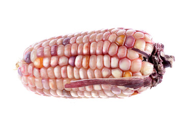 purple corn on white background