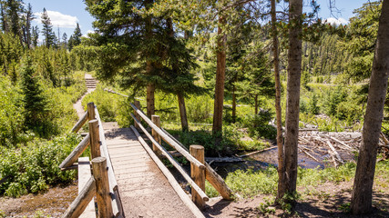 Small footbridge over Lupine Creek. Amazing summer landscape in the mountains. Path through a green fir forest. Wraith Falls, Yellowstone National Park, Wyoming