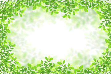 green leaves frame on white background.