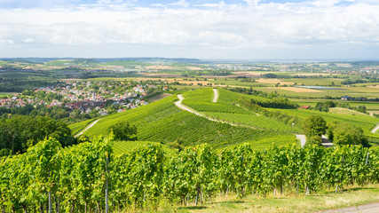 Fototapeta na wymiar Weinberge in Süddeutschland