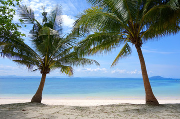 Fototapeta na wymiar beautiful tropical beach with coconut palm trees on Blue sky and sea in the background