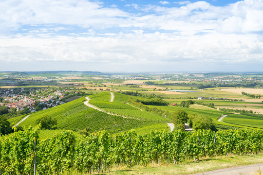Weinberge in Süddeutschland