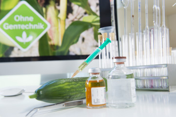 Genfood Gurke im Labor