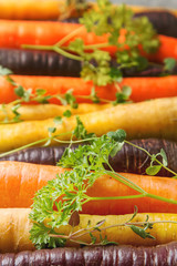 Ripe black, orange and yellow carrots with parsley and thyme. Da