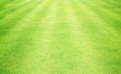 Golf Courses green lawn