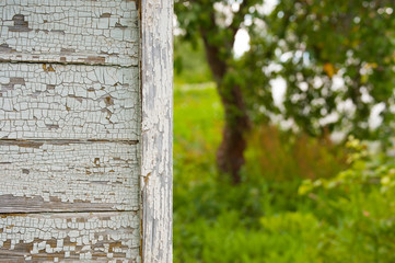 closeup country house in summer apple orchard garden