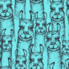 Vector lama heads seamless pattern. Llama or alpaca hand drawn ink sketch. Cute mammal animal drawing © oxanaart
