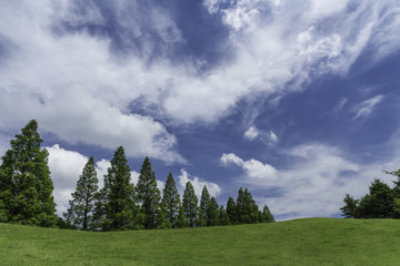 Fototapeta na wymiar Green Field, Blue Sky and Clouds in Rokko Farm