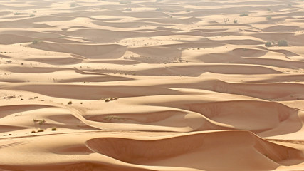 Fototapeta na wymiar Dunes and sunlight in the desert.