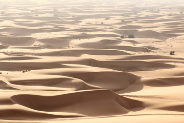 Fototapeta na wymiar Sandy desert. Road in the dunes.