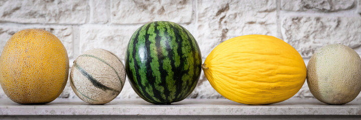 panorama verschiedener melonen