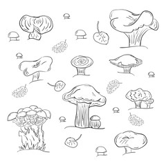 Set of Hand Drawn Mushrooms Isolated on White. Autumn Falling Leaves. Vector Illustration.