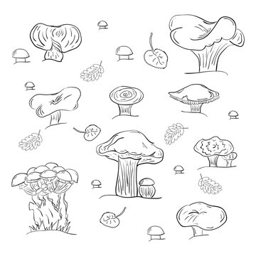 Set of Hand Drawn Mushrooms Isolated on White. Autumn Falling Leaves. Vector Illustration.