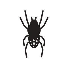 flat icon in black and white style spider insect  