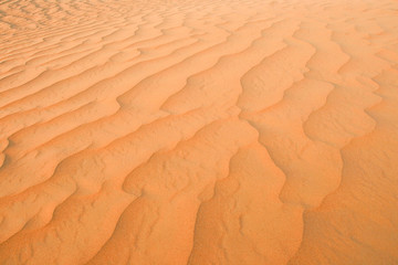 Arabian Desert Sand Dune
