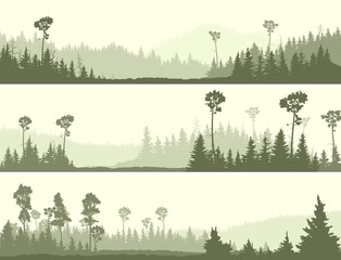 Horizontal banners of wild coniferous wood with glade. © vertyr