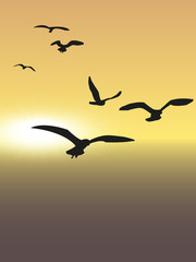 Obraz premium flock of birds on a white background