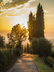 Toscana,tramonto nella campagna.