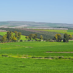 Fototapeta na wymiar Jezreel Valley in Israel