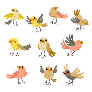 Cute collection set of nine funny birds in soft autumn theme pastel colors