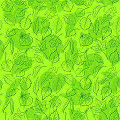 Seamless Background, Green Tree Leaves Contours and Silhouettes, Oak, Willow, Liquidambar, Hawthorn, Poplar, Aspen, Hazel, Ginkgo Biloba, Elm, Birch, Alder, Linden, Hornbeam, Chokeberry, Lilac. Vector