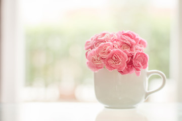  Fresh pink carnation flower