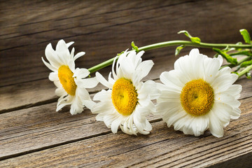 Fototapeta na wymiar Chamomile flowers on a wooden