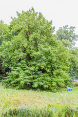 botanischer garten rostock