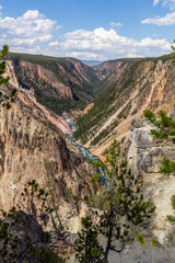 Fototapeta na wymiar Stormy river flows in a narrow gorge in the rocks. Mountain landscape. Fir forest growing on the sharp rocks. Point sublime on the Grand Canyon of the Yellowstone, Yellowstone National Park, Wyoming