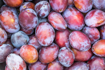 Plums closeup background. Food series.