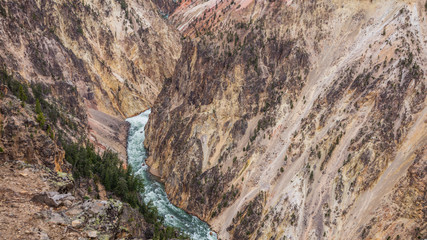 Obraz premium Stormy river flows in a narrow gorge in the rocks. Mountain landscape. Point sublime on the Grand Canyon of the Yellowstone, Yellowstone National Park, Wyoming