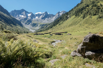 Fototapeta na wymiar Almhütten in idyllischer Berglandschaft