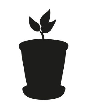 Vector monochrome drawing. Sprout in a pot