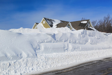 Urban Snowbanks