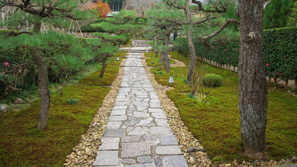 Serenity footpath of enkoji temple, Kyoto