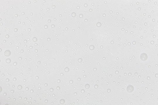 Water drops on white background.