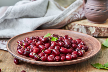 Bright red berries of cornel or dogwood on plate