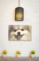 Picture dogs on a white brick wall vintage style.