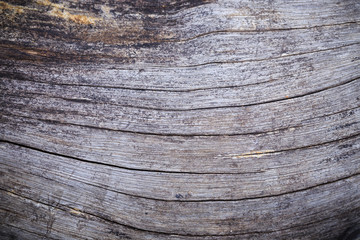 wood texture closeup background
