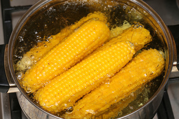 Gotowanie żółtej dojrzałej kukurydzy - obrazy, fototapety, plakaty