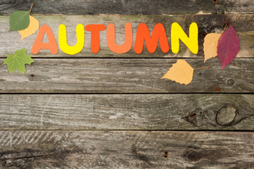 Autumn background on old wooden board with copy space