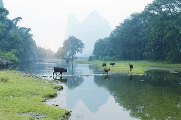 Gordijnen landscape in GuangXi, China © xiaoliangge