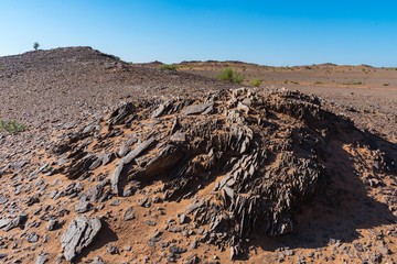Steine und roter Sand in der Wüste Gobi
