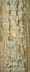 Fototapeta premium Detail of a medieval Celtic cross, Clonmacnoise, Ireland