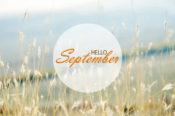 Fotobehang Hello September wallpaper, autumn background with dried plants © stillforstyle