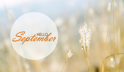 Hello September wallpaper, autumn background © stillforstyle