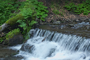 Small waterfall in a mountain stream. Shipot Falls (Pylypets, Zakarpatska oblast, Ukraine).