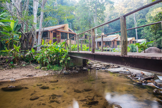 Small stream in Thai country