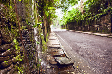 Old shady street of Bali, Ubud.
